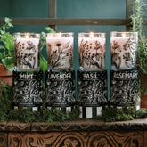 Jackson Vaughn Dig It Bundle Herb Candles