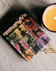 Poodle Party Matches