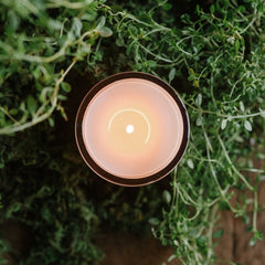 Jackson Vaughn Thyme-scented candle