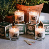 The JV and Sons Bundle