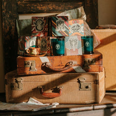 vintage travel bundle