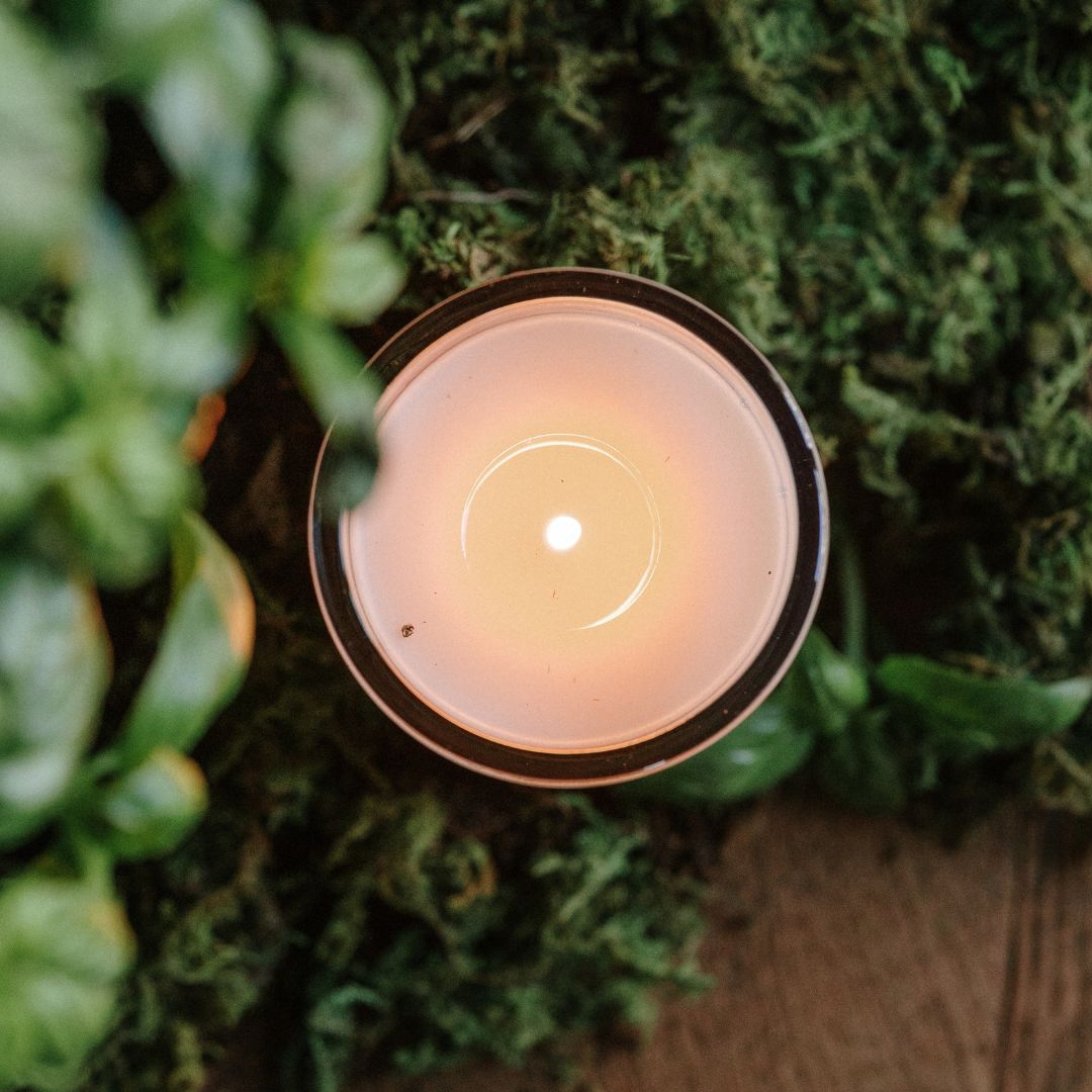 Jackson Vaughn Basil-scented candle