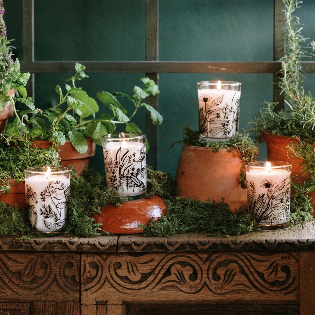 Jackson Vaughn Dig It Bundle Herb Candles