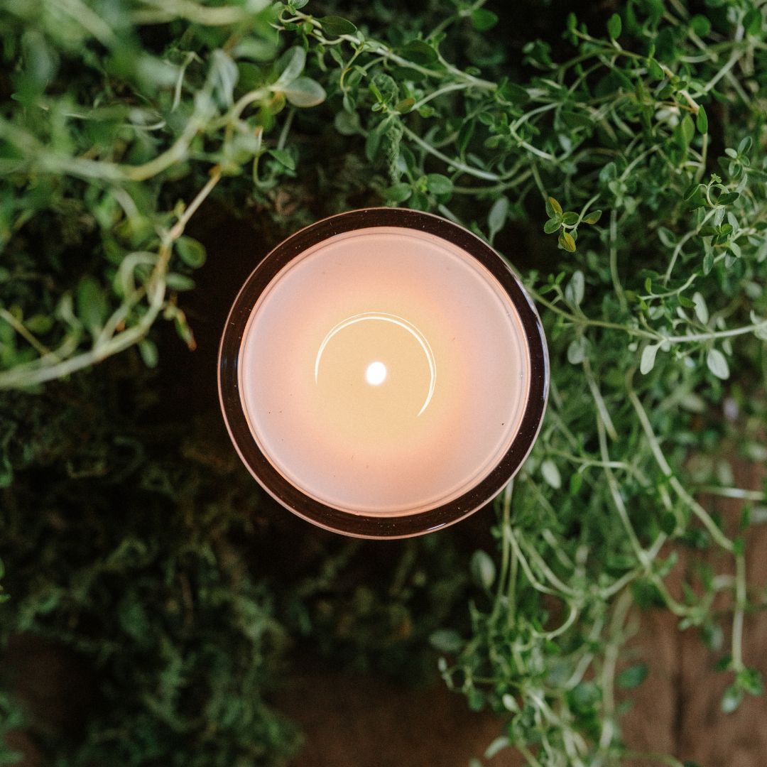 Jackson Vaughn Thyme-scented candle