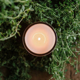 Jackson Vaughn Thyme-scented candle