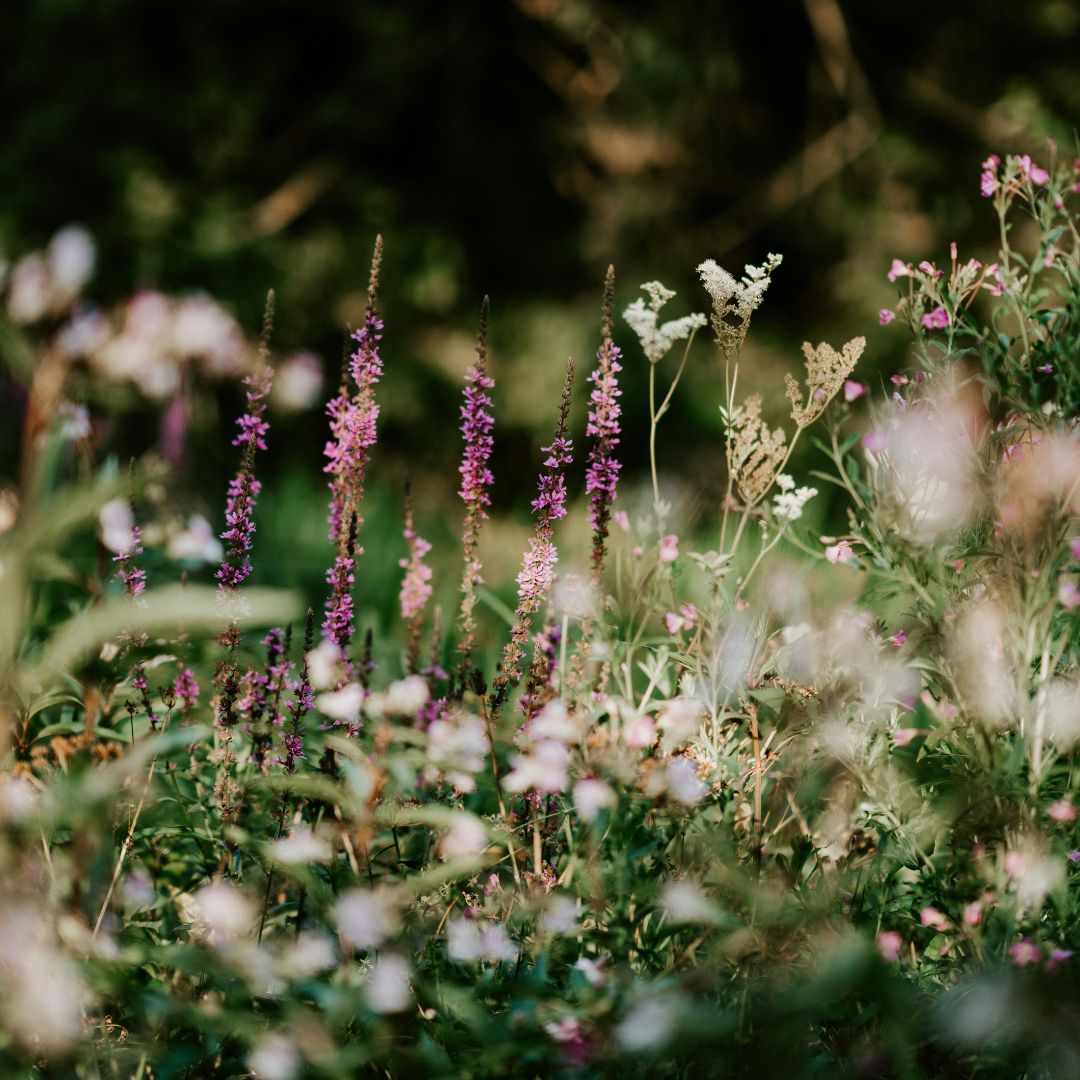 Fresh Florals & Herbs