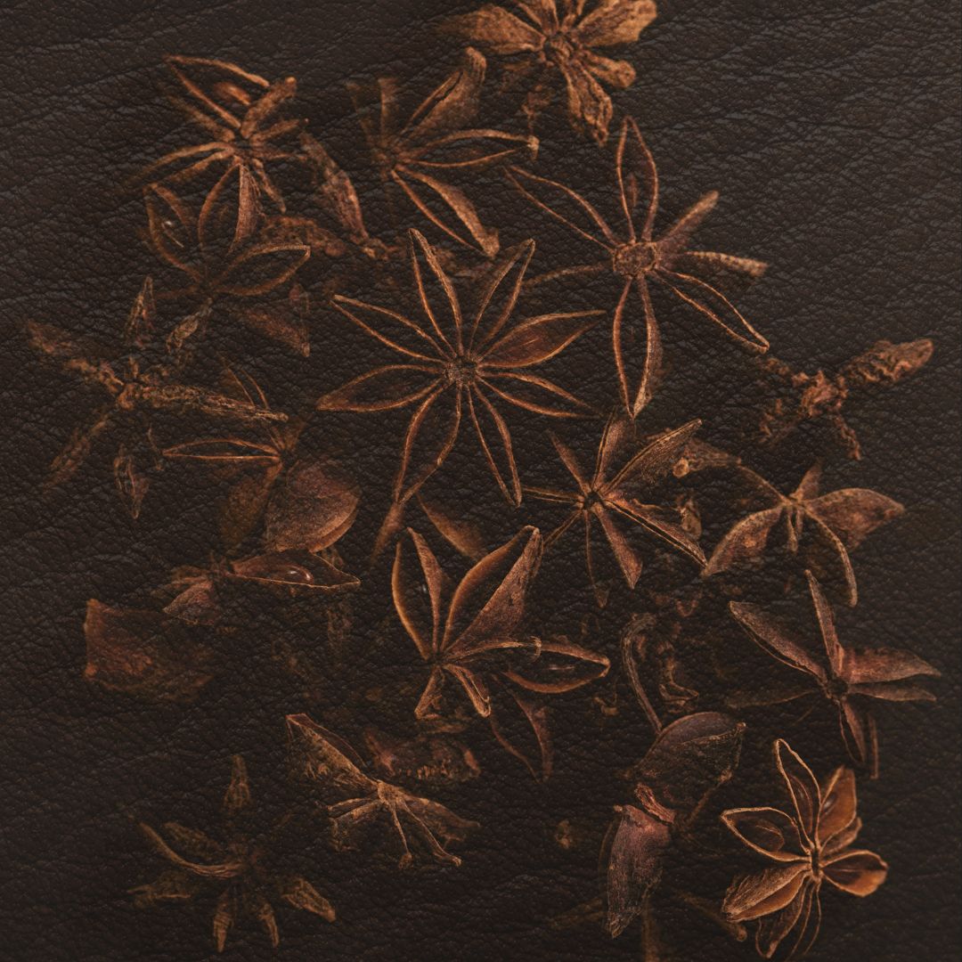 Leather & Warm Spices