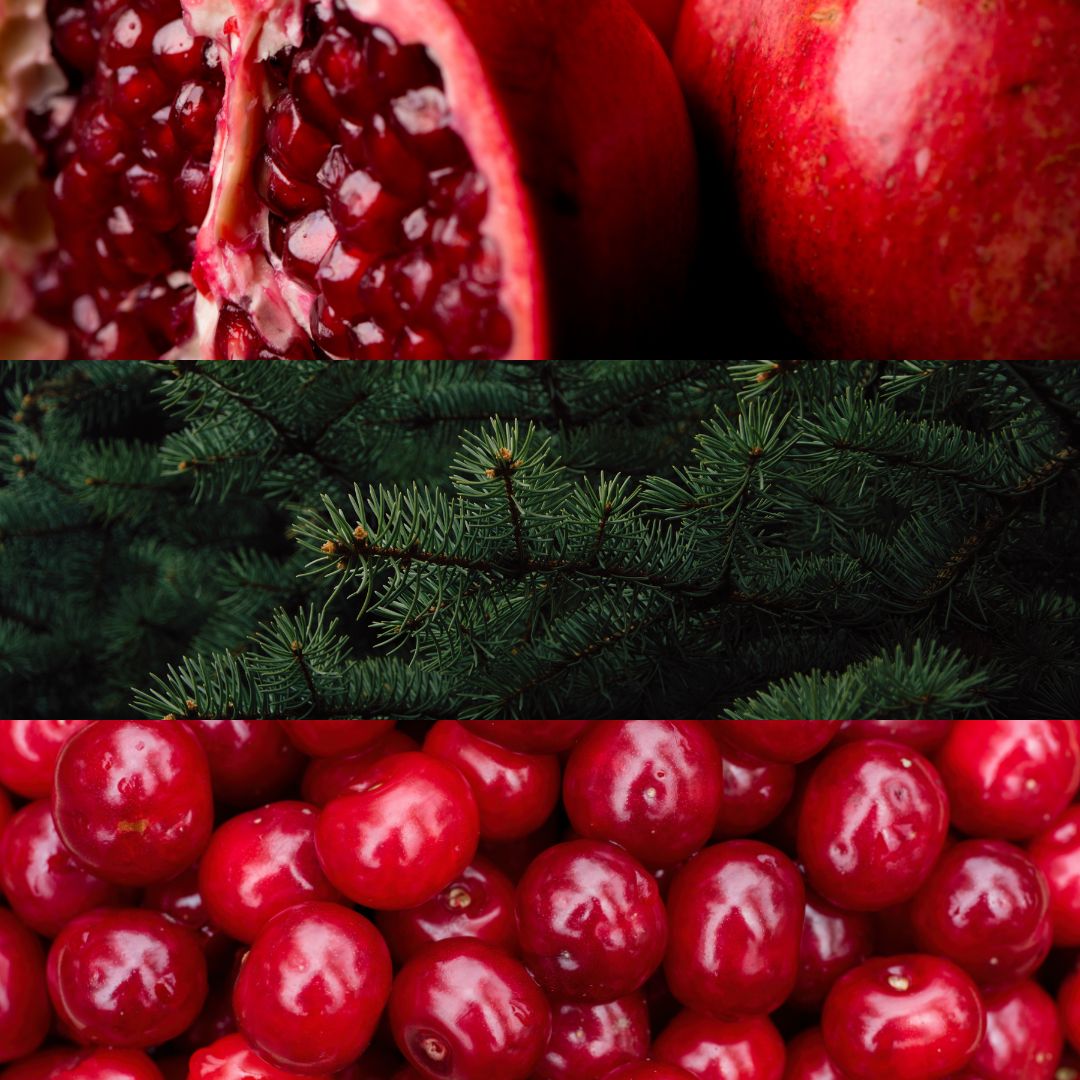 Explore The Scents