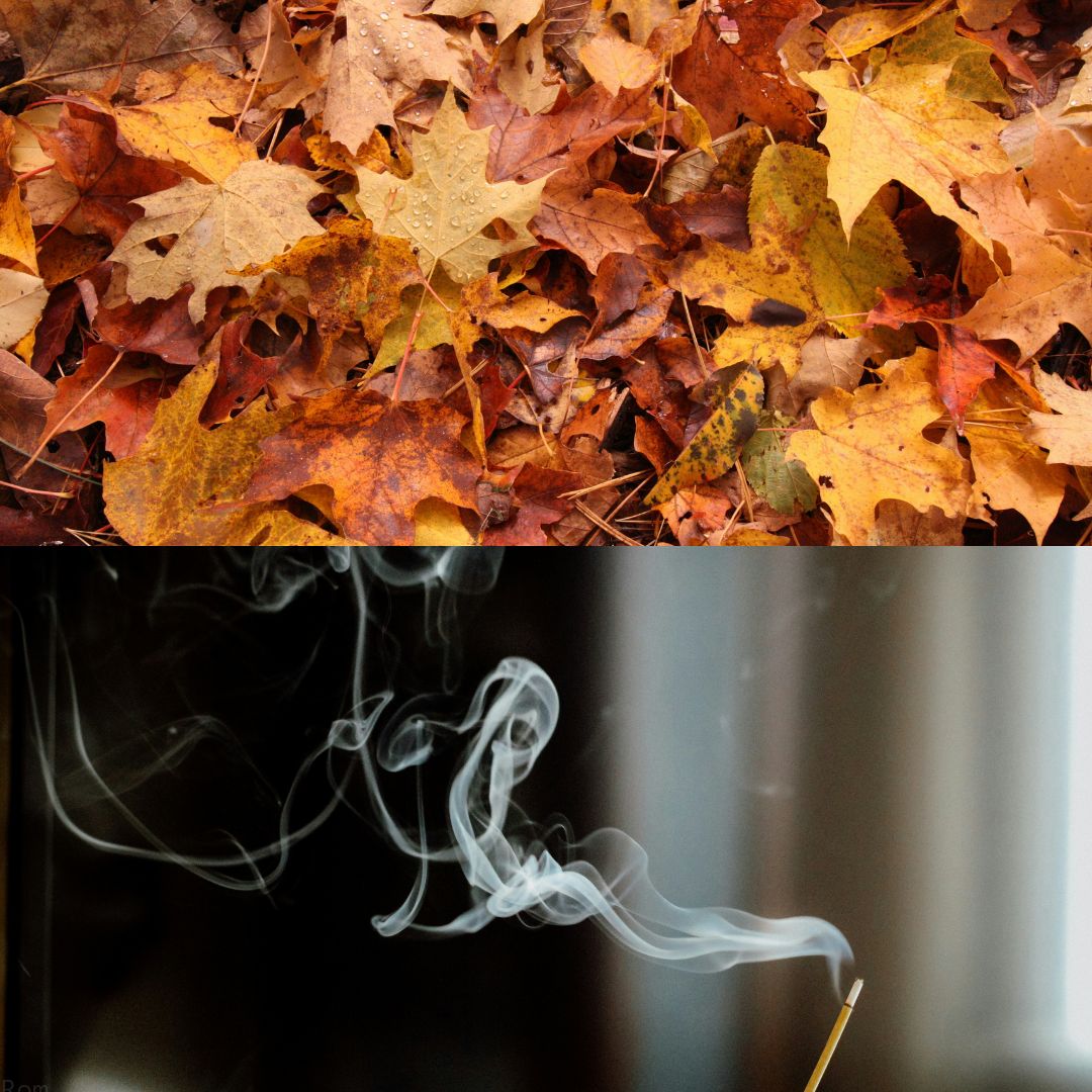 Explore the Scents