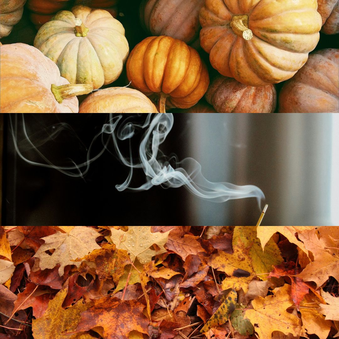Explore The Scents