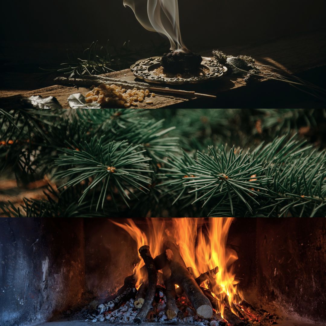 Explore The Scents